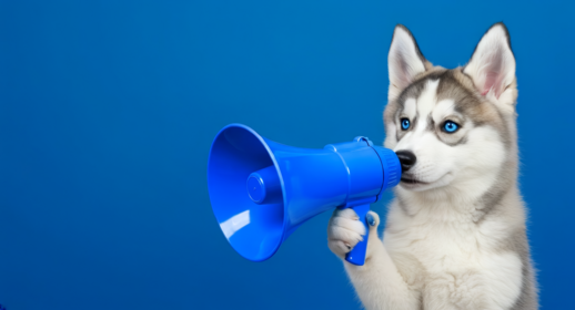 2026 vbob Mitgliederwerbeaktion - Husky Welpe mit blauem Megaphone