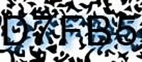 grafischer Sicherheitscode