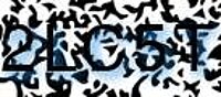 grafischer Sicherheitscode
