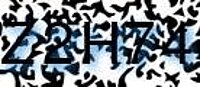 grafischer Sicherheitscode