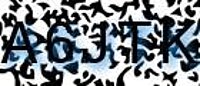 grafischer Sicherheitscode