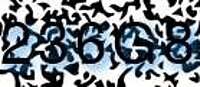grafischer Sicherheitscode
