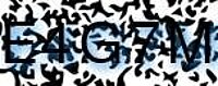 grafischer Sicherheitscode