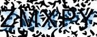 grafischer Sicherheitscode