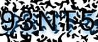 grafischer Sicherheitscode