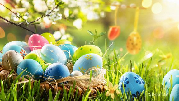 Ostern Eier Blumen Gras